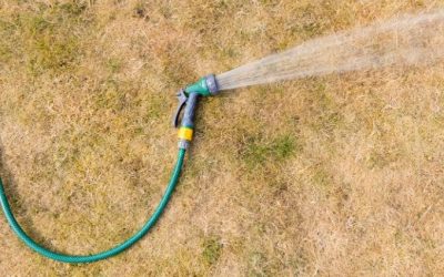 How to properly water a lawn in Groton MA