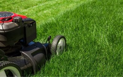 Lawn Mowing Tips in Groton MA